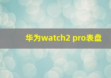 华为watch2 pro表盘